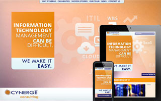 Cynerge Consulting Website
